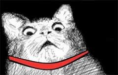 cat gasp.jpg