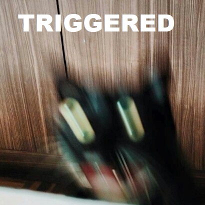 Triggered Kitty Meme V2.0.jpg