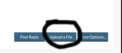 Untitled.png