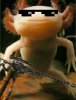 images-2.jpeg