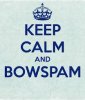 bow.jpg