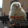 ChickenWarrior