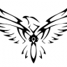 PolarFalcon