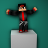 WinerTnPlays