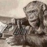 wordmonkey