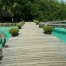 Linamina333