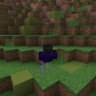 ViviTBB