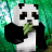 PandaWhoDabs